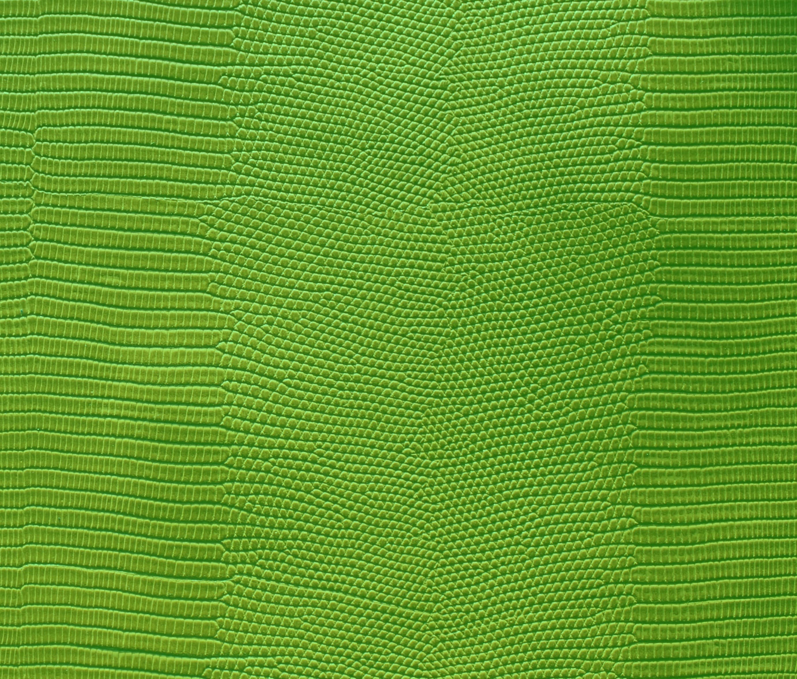 Venezia