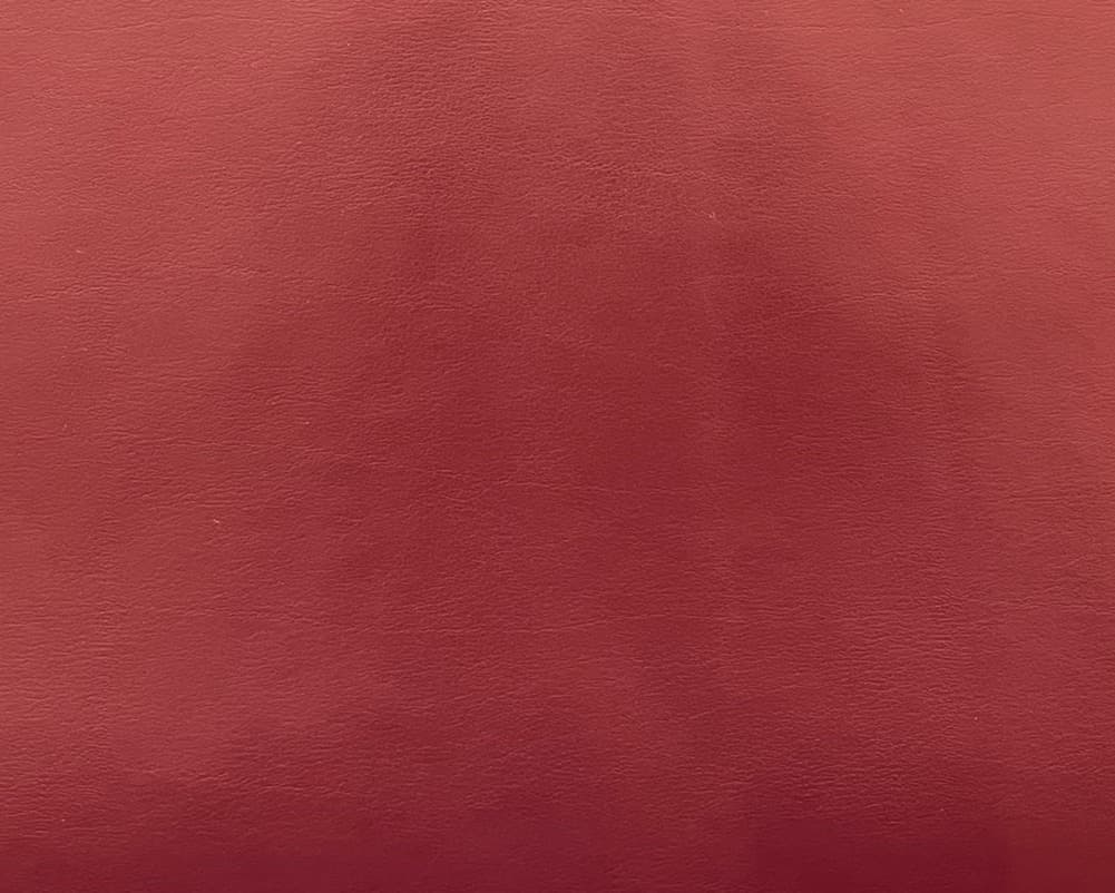 Albatros