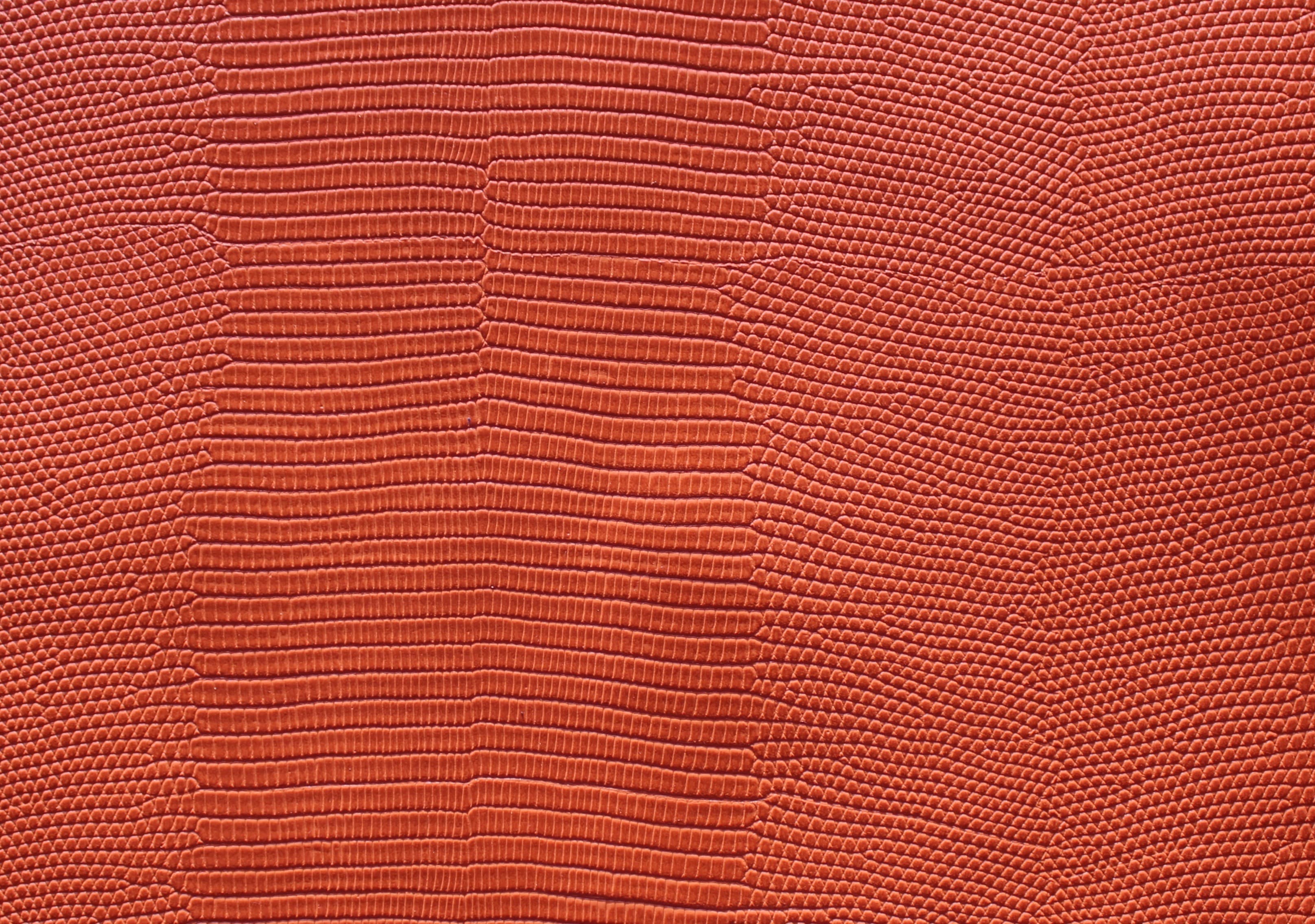 Venezia