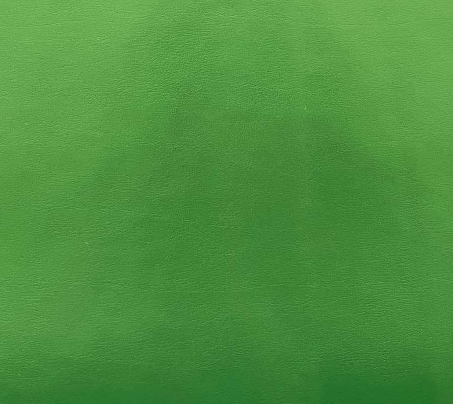 Albatros