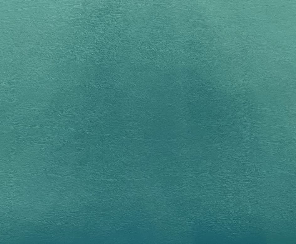 Albatros