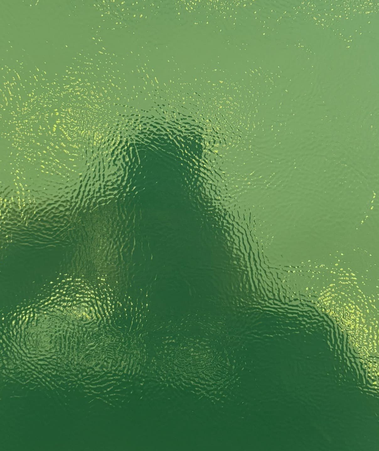 Santos