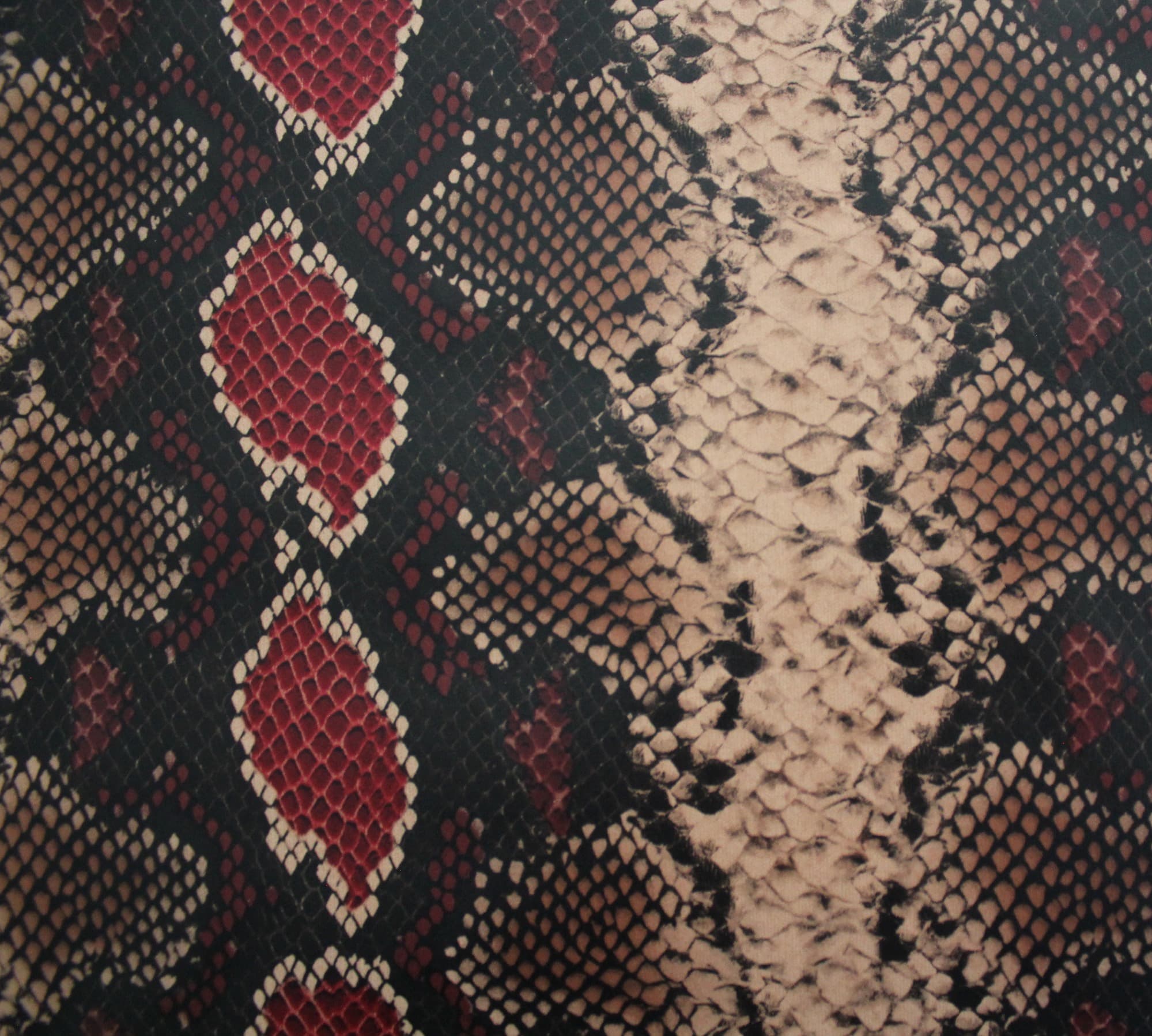 Yılan