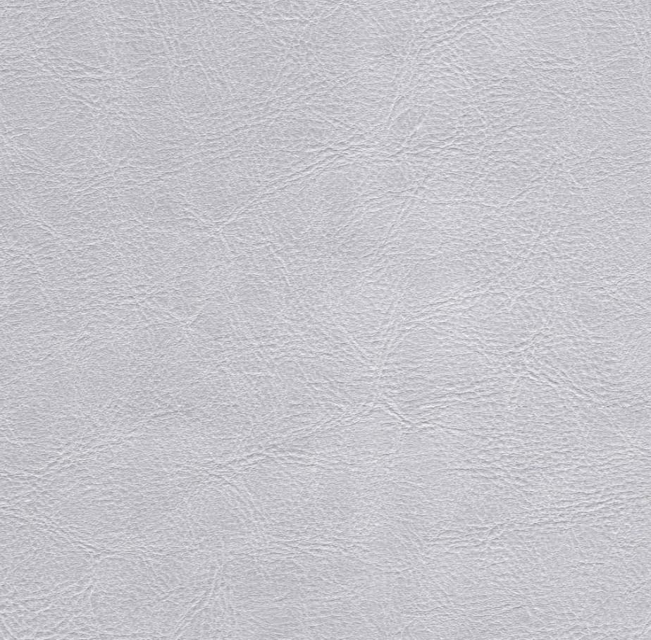 Astor · DS-11569