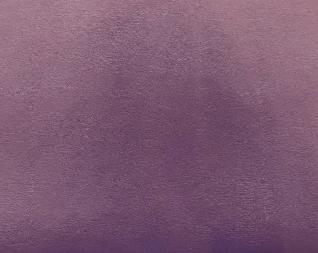 Albatros