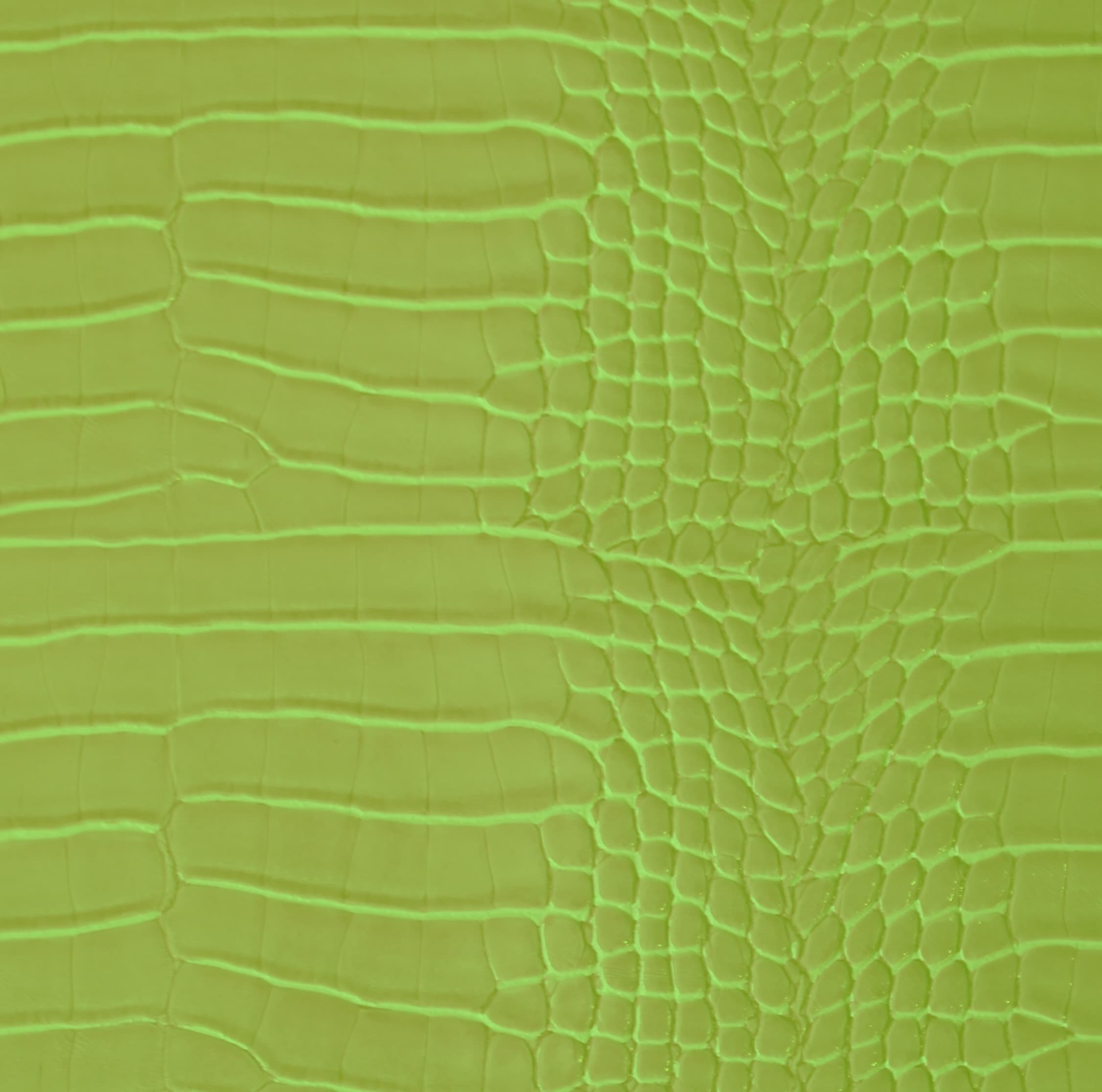 Crocos