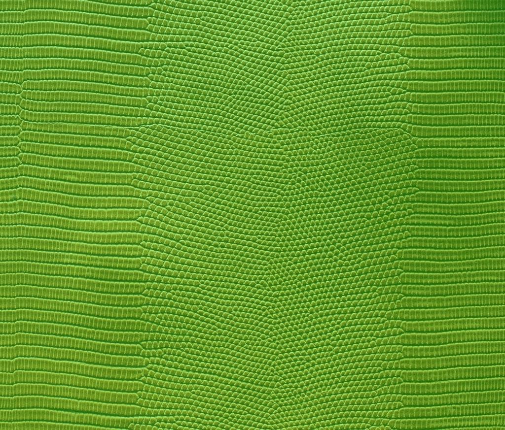 VENEZIA