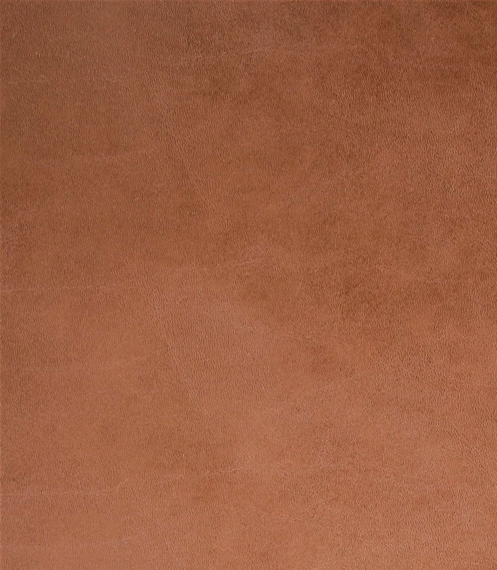 Toro