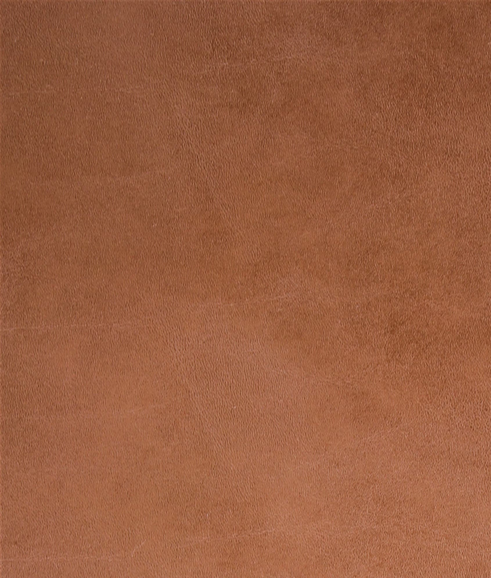 Toro